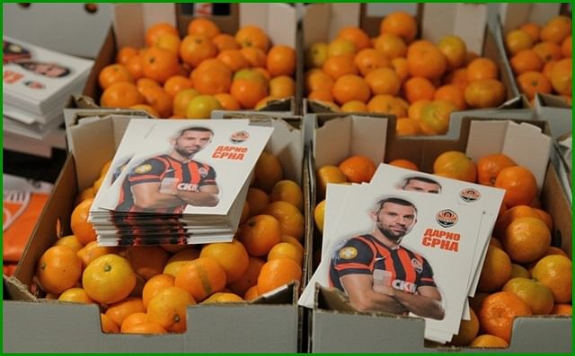 Srna